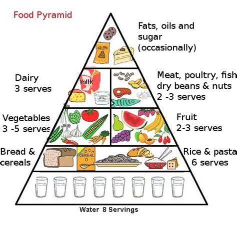 food pyramid for kids - Ava Powell