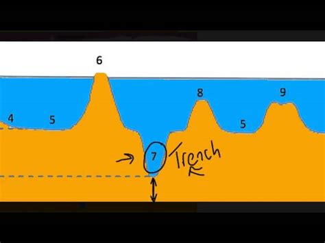 Ocean Floor Diagram To Label | Review Home Decor