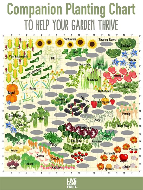 Printable Herb Companion Planting Chart