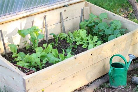 Cold Frame Gardening | What Is It, and Why You Should Try It - Earth, Food, and Fire