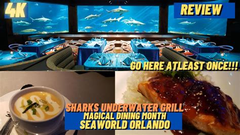 [4k] Sharks Underwater Grill Review Magical Dining Month SeaWorld ...