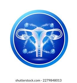 Female Uterus Health Care Labels Circle Stock Vector (Royalty Free) 2279848013 | Shutterstock