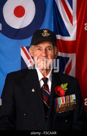 ROYAL AIR FORCE VETERAN AT REUNION Stock Photo - Alamy