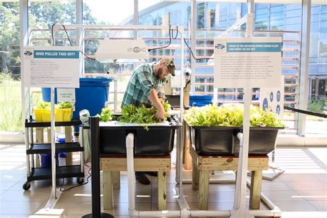 How Does An Aquaponics System Work? - LOCUS Growers