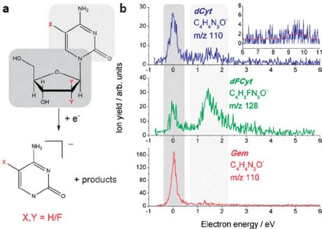 (a) Reaction scheme of the electron-induced N -glycosidic bond cleavage... | Download Scientific ...