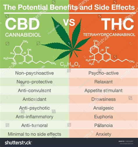 Potential Benefits Side Effects Cannabidiol Cbd : image vectorielle de stock (libre de droits ...