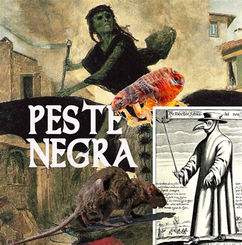 Peste Negra: alertan por brotes de Peste Bubónica. Todo lo que debes saber sobre la infección