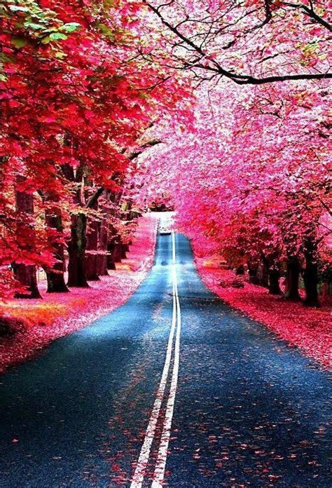 20+ Amazing Nature Photography That Will "Wow' You • Inspired Magazine