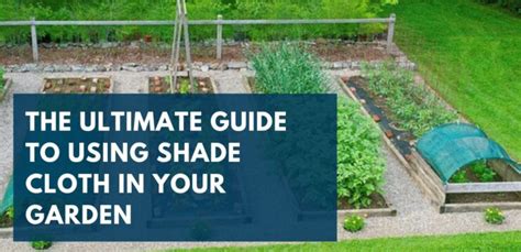 10 Innovative Ways to Use Shade Cloth in Plant Protection - Seeds of ...