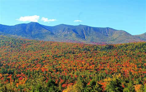 Foliage White Mountains New Hampshire