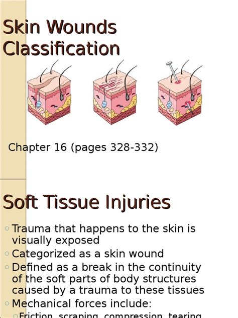 (PDF) Skin Wounds Classifications - DOKUMEN.TIPS