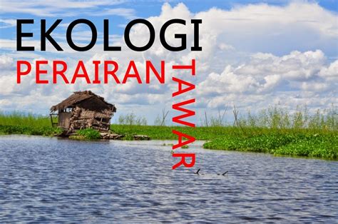 Ekologi Perairan Tawar | foorcle.com