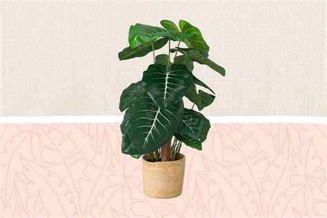 The 17 Best Fake Houseplants of 2024