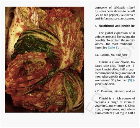 Fermented Cabbage Benefits, HD Png Download - kindpng