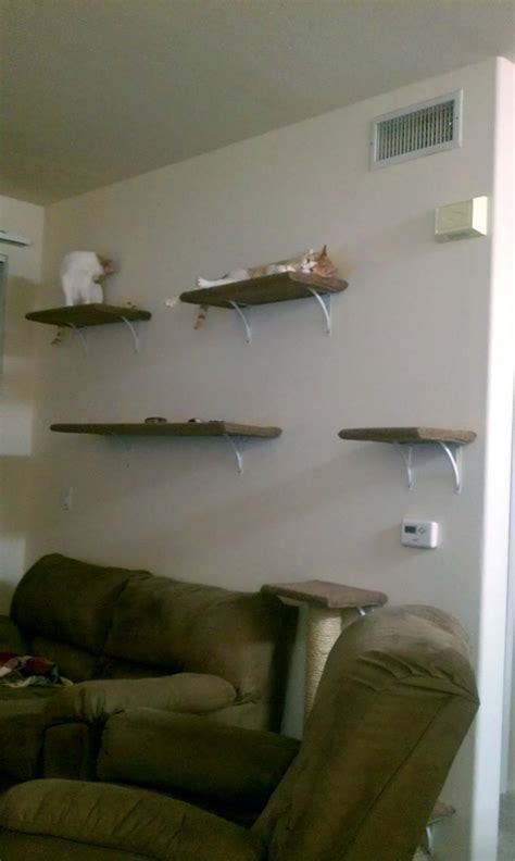 9 Simple DIY Cat Trees To Spoil Your Kitty - Shelterness