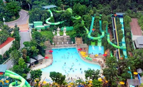 All about adventure cove | Singapore attractions, Tourist attraction, Singapore