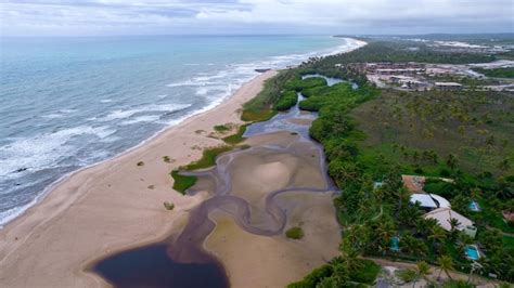 Premium Photo | Aerial view of imbassai beach, bahia, brazil. beautiful beach in the northeast ...