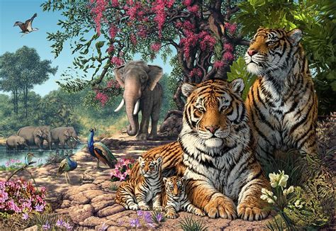 Tiger Sanctuary Photograph - Tiger Sanctuary Fine Art Print - by Steve Read Tier Wallpaper ...