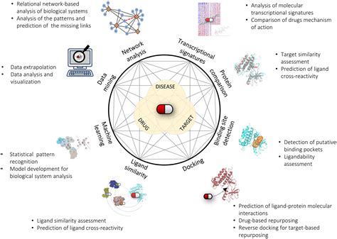 Frontiers | On the Integration of In Silico Drug Design Methods for ...