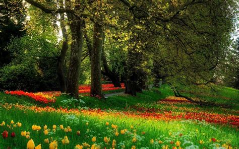 Garden Scenery Wallpapers - Wallpaper Cave