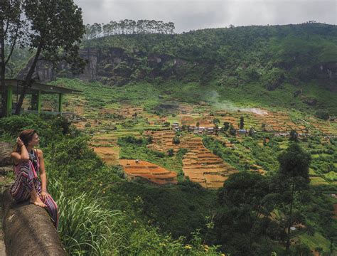 The Best Ceylon Tea Plantations in Sri Lanka - Adventure Catcher