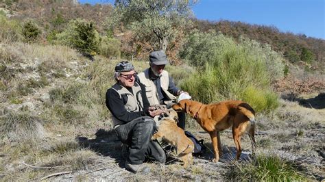 Truffle hunting with dogs in Provence | Lou Marronie