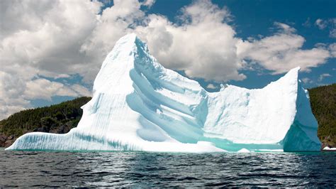 5 Ways to Enjoy Iceberg Season in St. John's ⋆ Destination St. John's