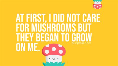 50 Mushroom Puns You Will Love So Mush - PunPress