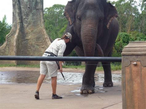 The Australia Zoo "Home of the Crocodile Hunter" - Judy and Gary's ...