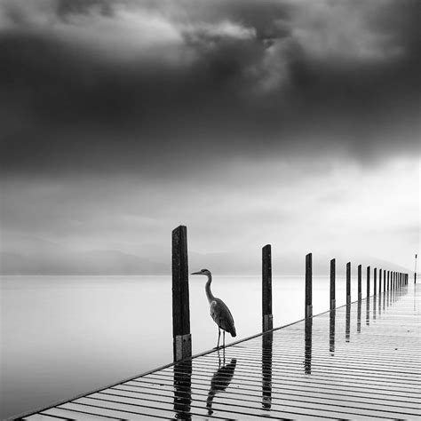 Minimalist Photographer Captures Dramatic Depth of Nature in Black and White | Black and white ...