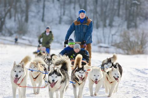 Moscow - Dog Sledding Tour in Russian Nature | Tsar Visit | Visit Russia, Moscow, Saint ...