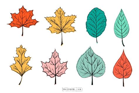 30+ Simple Leaf Drawing Ideas - How To Draw Leaf? - HARUNMUDAK