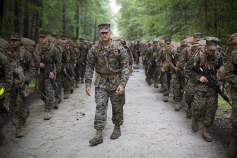 Marines will now wear woodland green camouflage uniforms all year