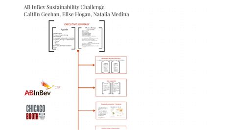 AB InBev Sustainability Challenge by Elise Hogan