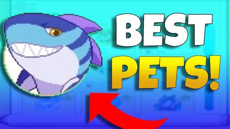 THE *BEST* PETS IN PRODIGY!!! - YouTube