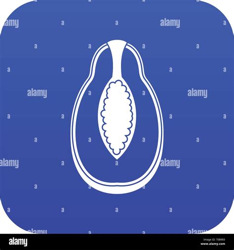 Papaya fruit icon digital blue Stock Vector Image & Art - Alamy
