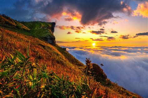 Free Photo | Phu chi fa and mist at sunrise in chiang rai province,thailand