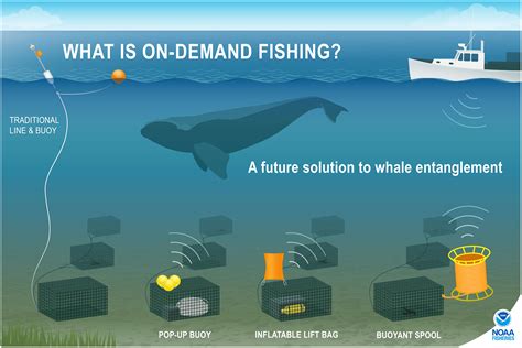 Frontiers | Decline in on-demand fishing gear costs with learning