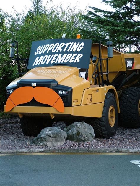 Finning Cat shows a stiff upper lip in support of Movember