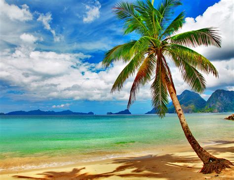 Tropical Beach Desktop Wallpaper - WallpaperSafari