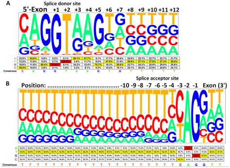 Consensus sequences and frequencies of human splice site... | Download Scientific Diagram