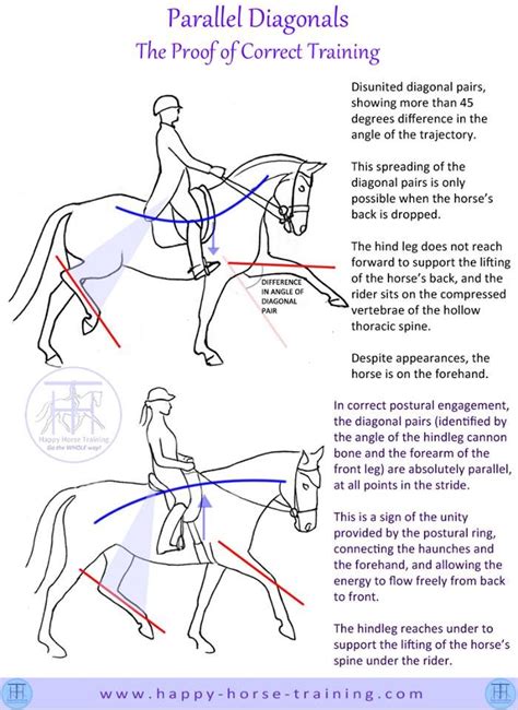 #Dressage Parallel Diagonals are the proof of correct training and movement | Dressage, Horse ...