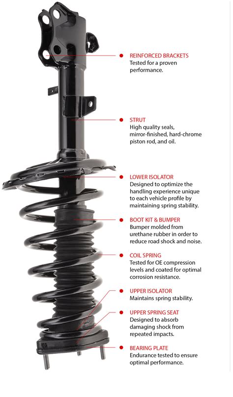 Complete Strut assembly | Worldparts