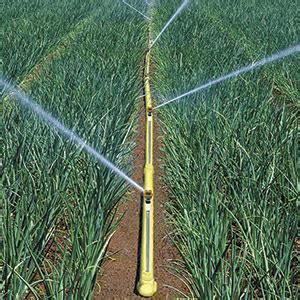 Above Ground Irrigation System – Drought Resilience