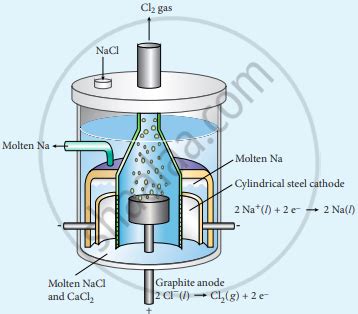 Describe the electrolysis of molten NaCl using inert electrodes. - Chemistry | Shaalaa.com