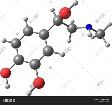 Adrenaline Epinephrine Image & Photo (Free Trial) | Bigstock