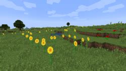 Plains – Official Minecraft Wiki