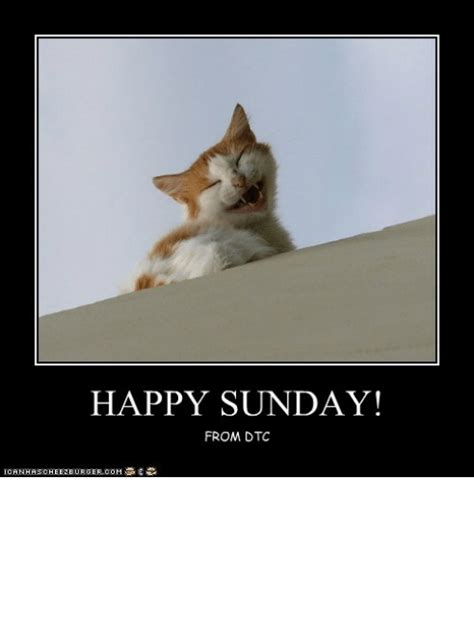 Happy Sunday Meme