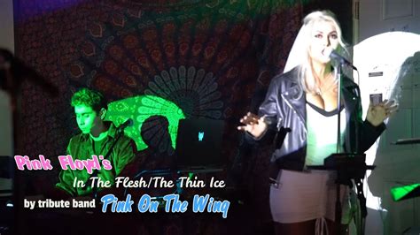 In The Flesh - The Thin Ice - by tribute band - Pink On The Wing - YouTube