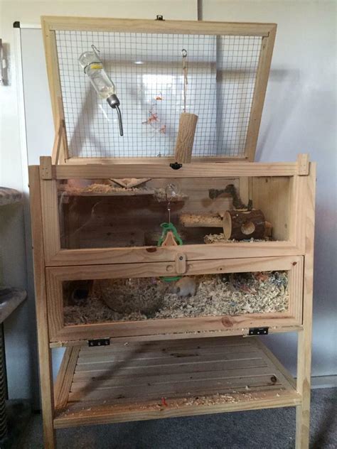 Gerbil cage and two gerbils | in Lytchett Matravers, Dorset | Gumtree